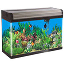 Manufacturers Exporters and Wholesale Suppliers of Imported Moulded Aquarium Faridabad Haryana